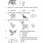7 Rahasia Latihan Contoh Kisi Kisi Soal Bahasa Indonesia Kelas 3 Semester 2 Terbaru