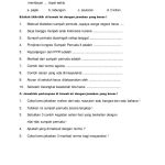 10 Contoh Soal Essay PKN Kelas 3 SD Semester 1 Terbaru yang Wajib Dipelajari Siswa 10 Contoh Soal Essay PKN Kelas 3 SD Semester 1 Terbaru yang Wajib Dipelajari Siswa