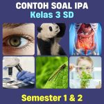5 Soal IPA Kelas 3 SD Semester 2 Paling Sulit? Ini Kunci Jawaban Lengkap 2026 5 Soal IPA Kelas 3 SD Semester 2 Paling Sulit? Ini Kunci Jawaban Lengkap 2026