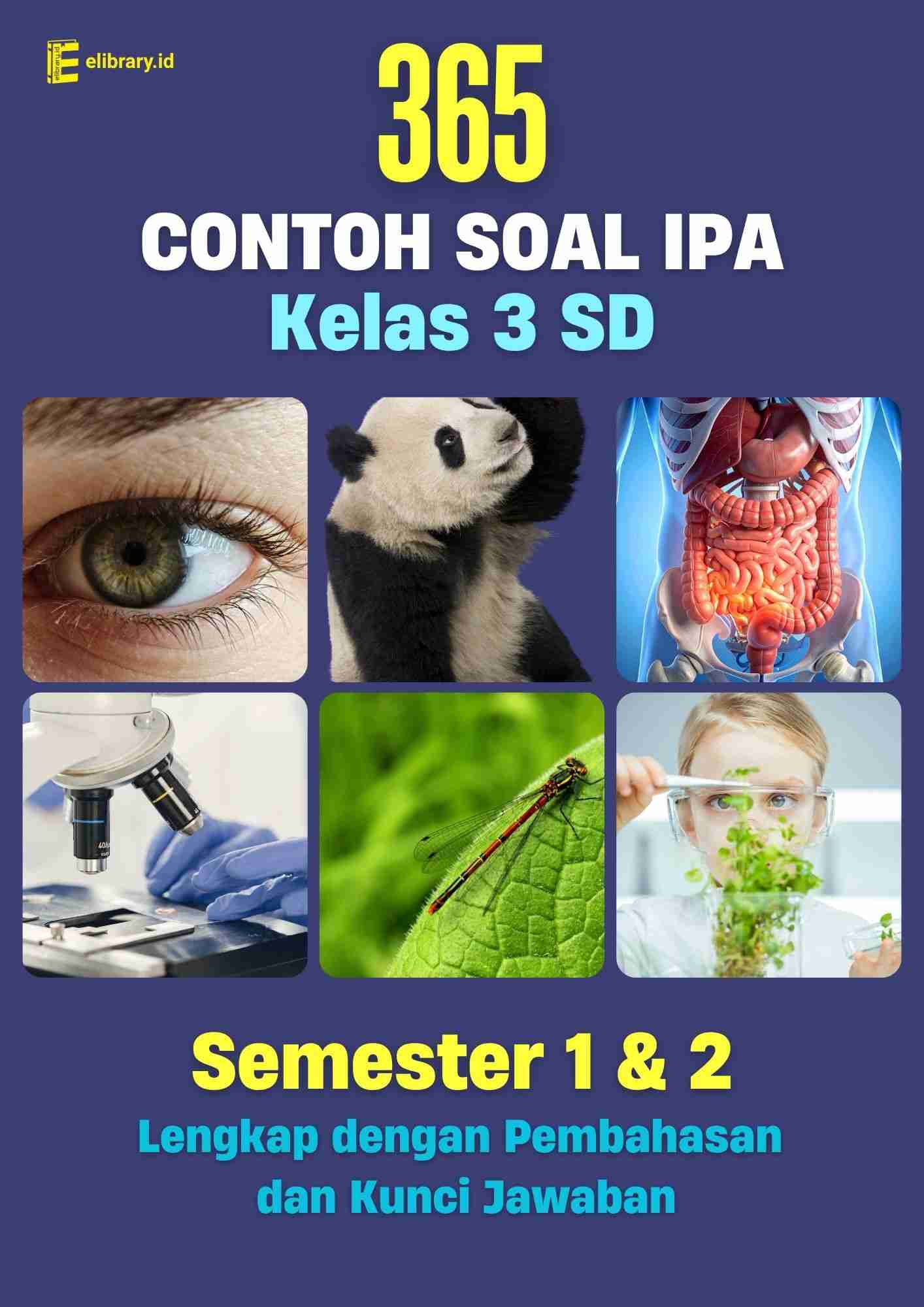5 Soal IPA Kelas 3 SD Semester 2 Paling Sulit? Ini Kunci Jawaban Lengkap 2026 5 Soal IPA Kelas 3 SD Semester 2 Paling Sulit? Ini Kunci Jawaban Lengkap 2026