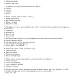 5 Contoh Soal Tema 3 Subtema 3 Kelas 3 SD yang Wajib Diketahui Siswa 5 Contoh Soal Tema 3 Subtema 3 Kelas 3 SD yang Wajib Diketahui Siswa