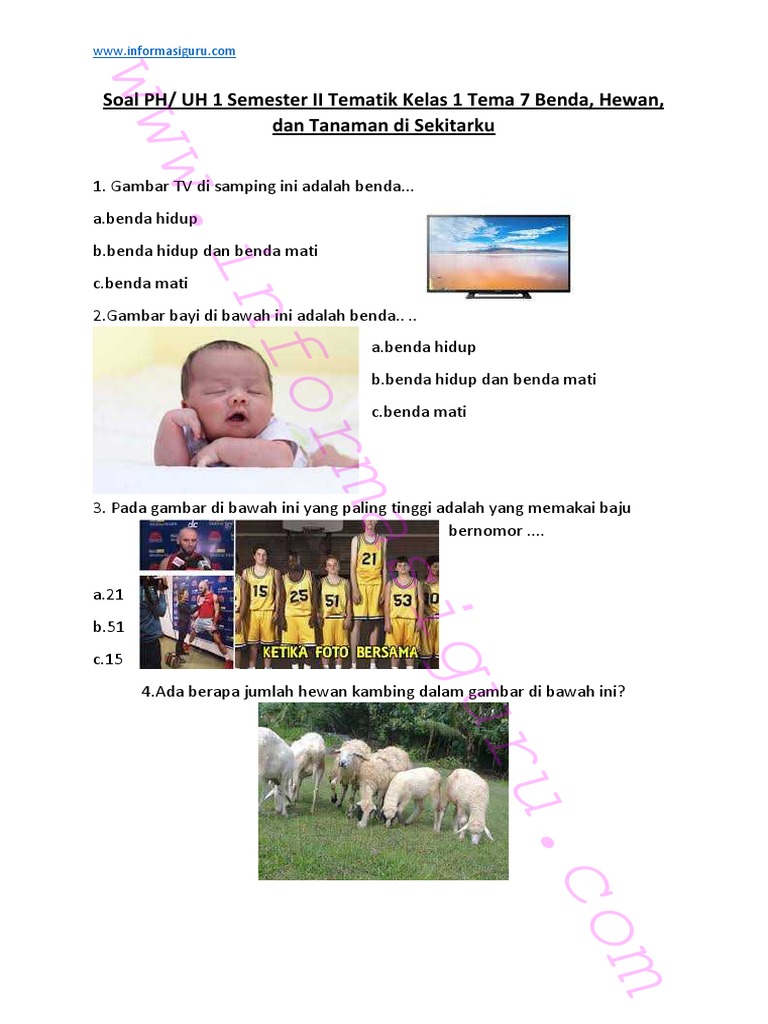 7 Contoh Soal Tema 7 SD SD Kelas 1 Semester 2 yang Terbukti Meningkatkan Nilai Anak Anda 7 Contoh Soal Tema 7 SD SD Kelas 1 Semester 2 yang Terbukti Meningkatkan Nilai Anak Anda